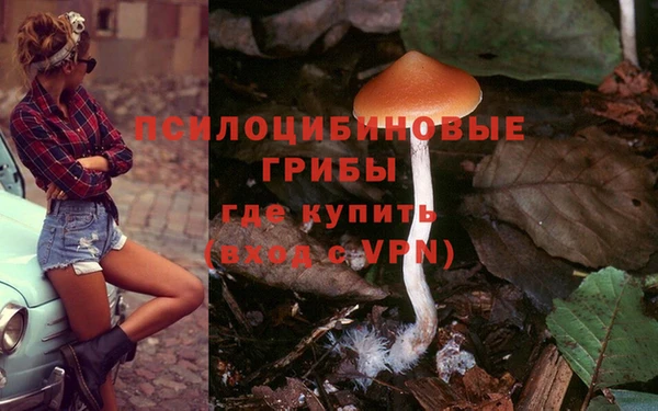 мет Армянск