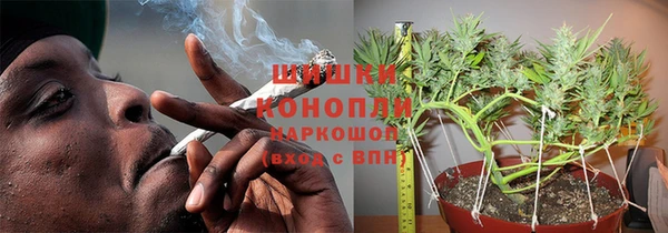 дурь Аркадак